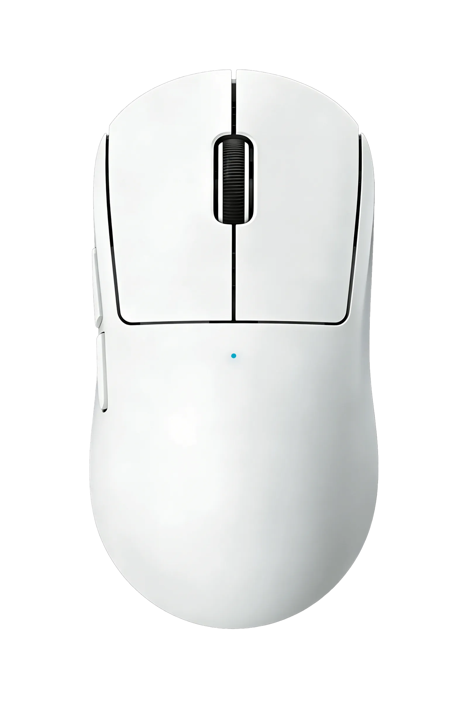 mouse